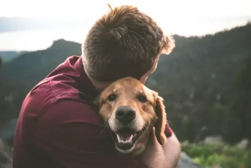 Czy przysmaki dla psa powinny być obecne w jego życiu?