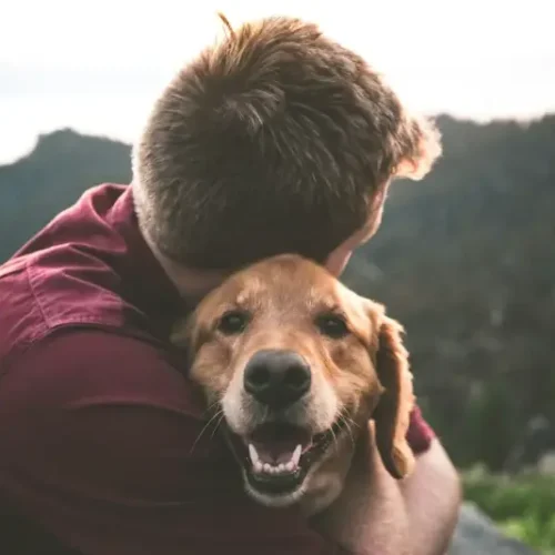 Czy przysmaki dla psa powinny być obecne w jego życiu?